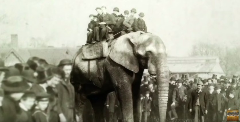 螢幕快照 2019-04-01 下午2.55.49