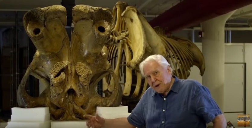 螢幕快照 2019-04-01 下午2.56.43