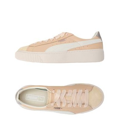 螢幕快照 2019-04-03 下午3.35.25