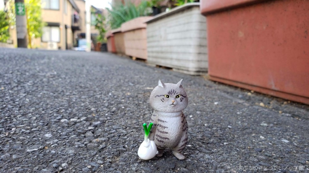 螢幕快照 2019-04-09 下午3.30.54