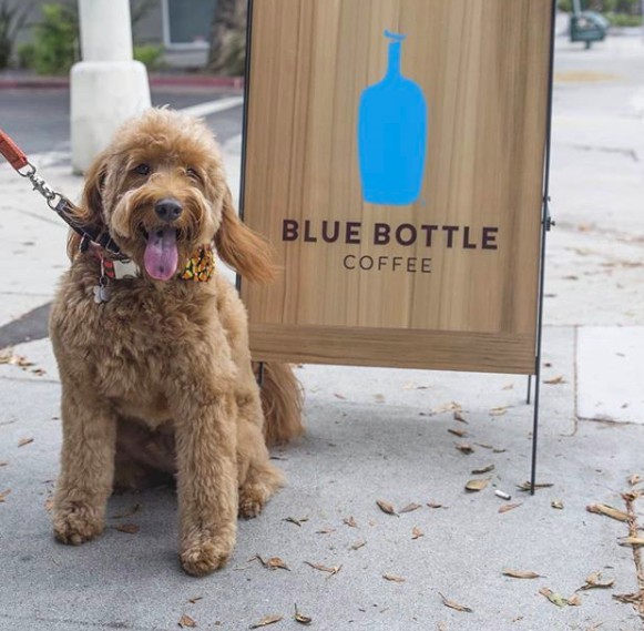 螢幕快照 2019-04-30 下午6.22.07