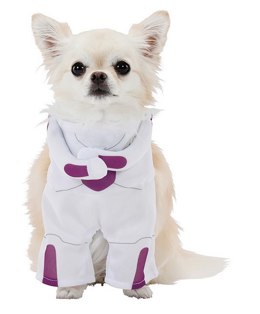 31448981707_ff501e96e3_z-1