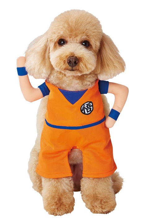 31448981977_90e9bbf764_b