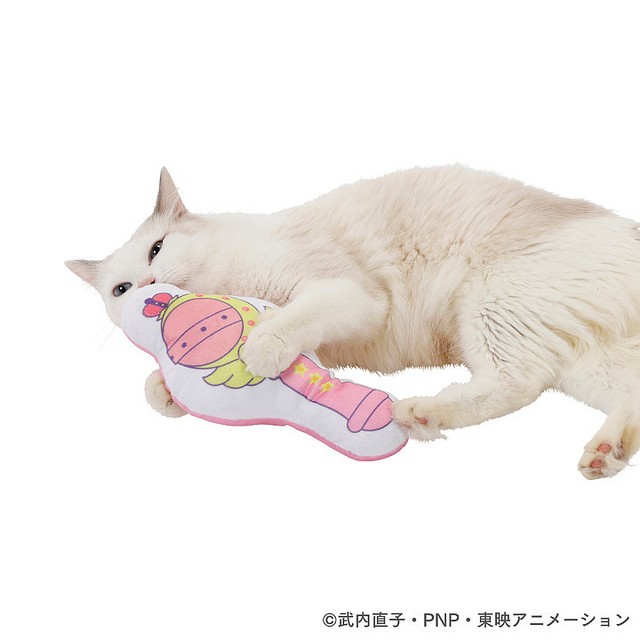 31448982747_015fd87a93_z