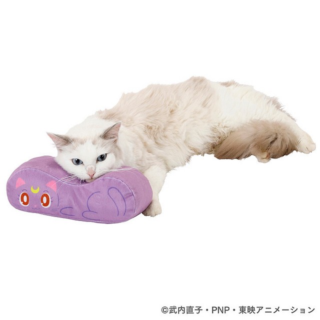 31448982867_3b18492ecf_z