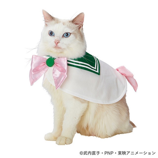 31448983127_6e94c85244_z