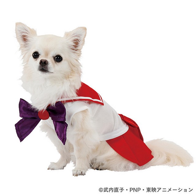 31448983217_8d0b84cb2c_z