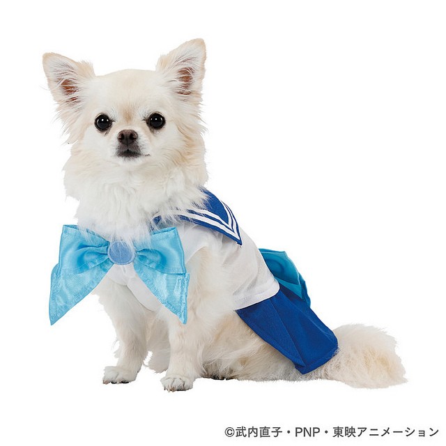 31448983397_e2123e364b_z