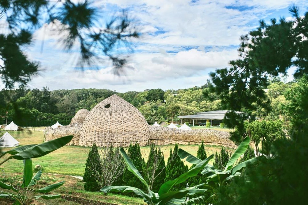 53302429_155061475498577_7920629073485349045_n