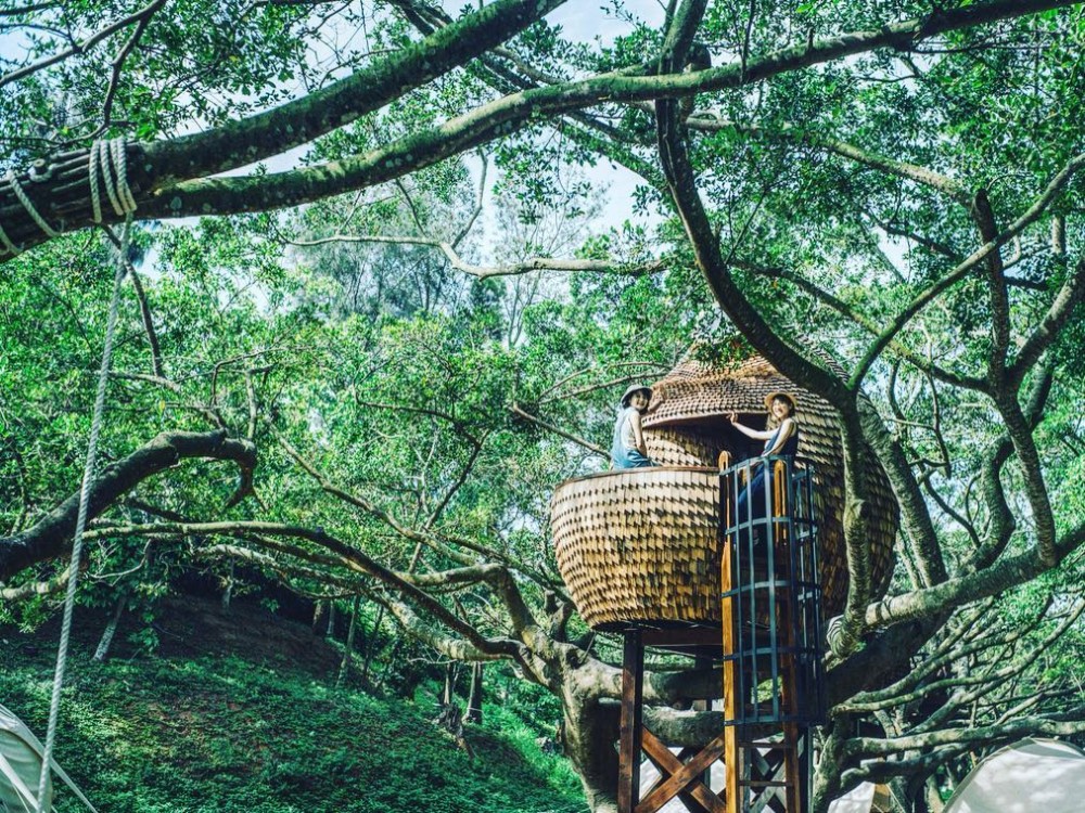 53871686_1219408014881752_998685744654131162_n