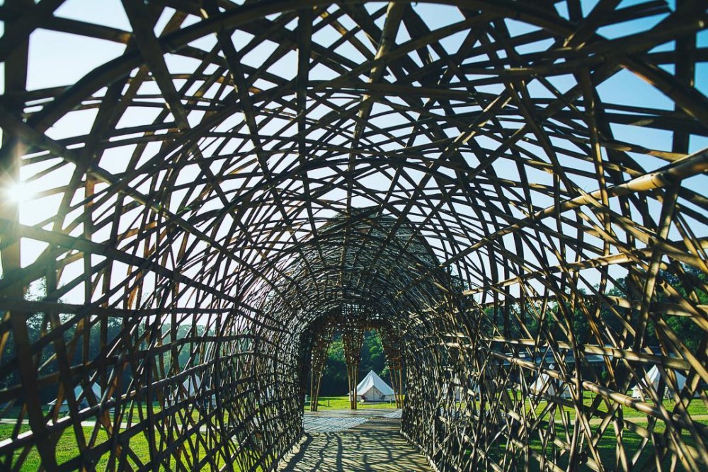 54006277_2316011658677464_6108235338534501517_n