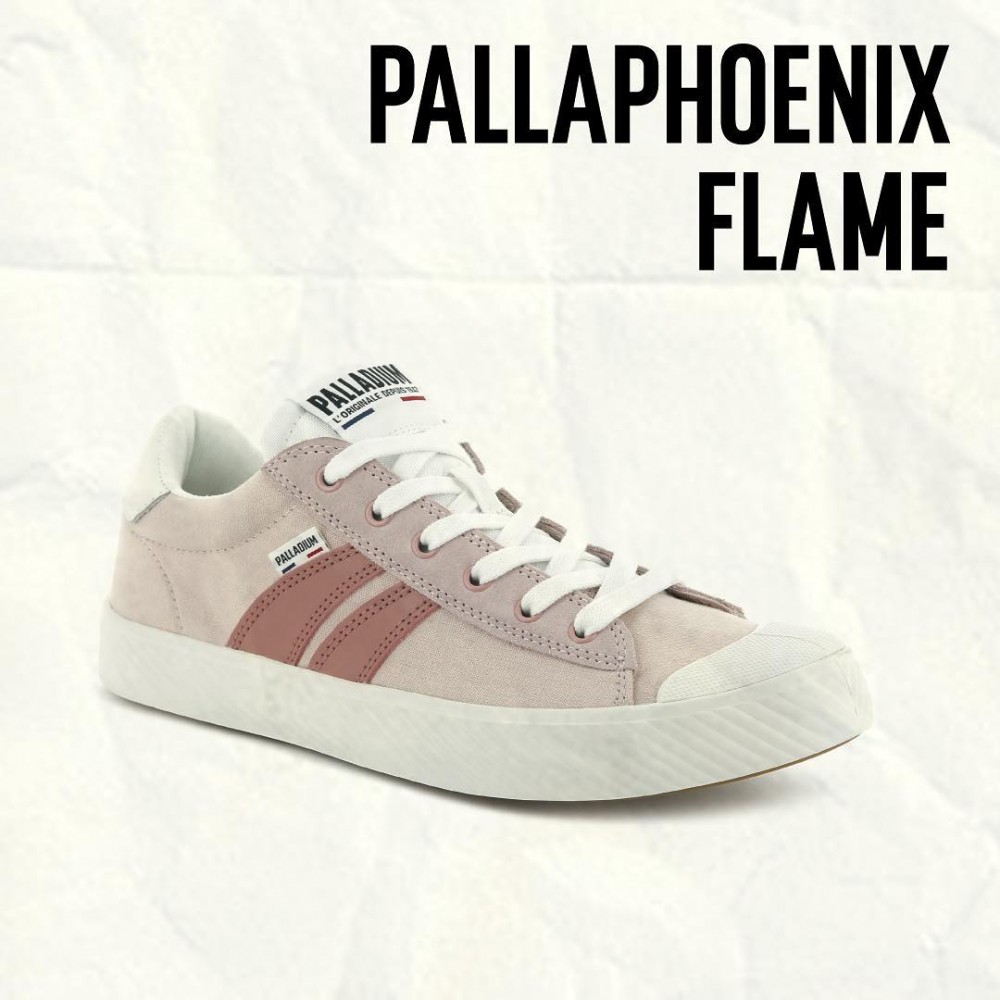 54463747_412744452620231_8660285046508553989_n