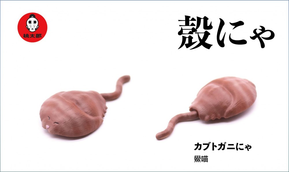 55509657_300393170602294_2931860485747769344_o