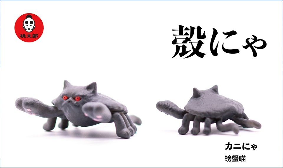 55618288_300434300598181_6962433799778992128_n