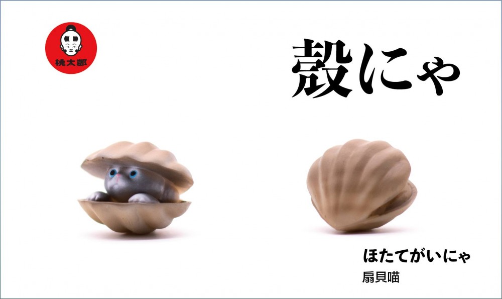 55698617_300393183935626_4490269195639980032_o