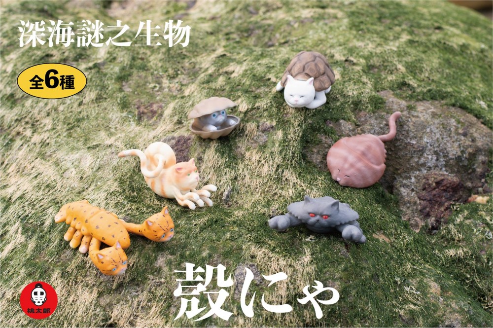 56881411_307380136570264_4750514406704545792_o