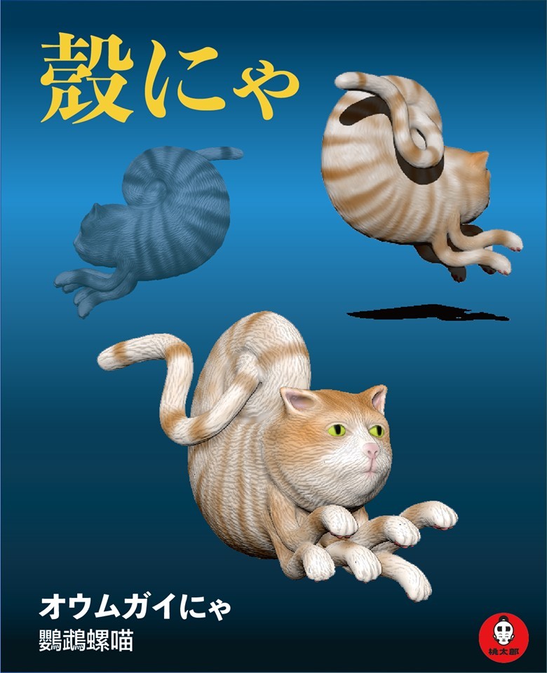 56890509_307380346570243_8686156329175220224_n