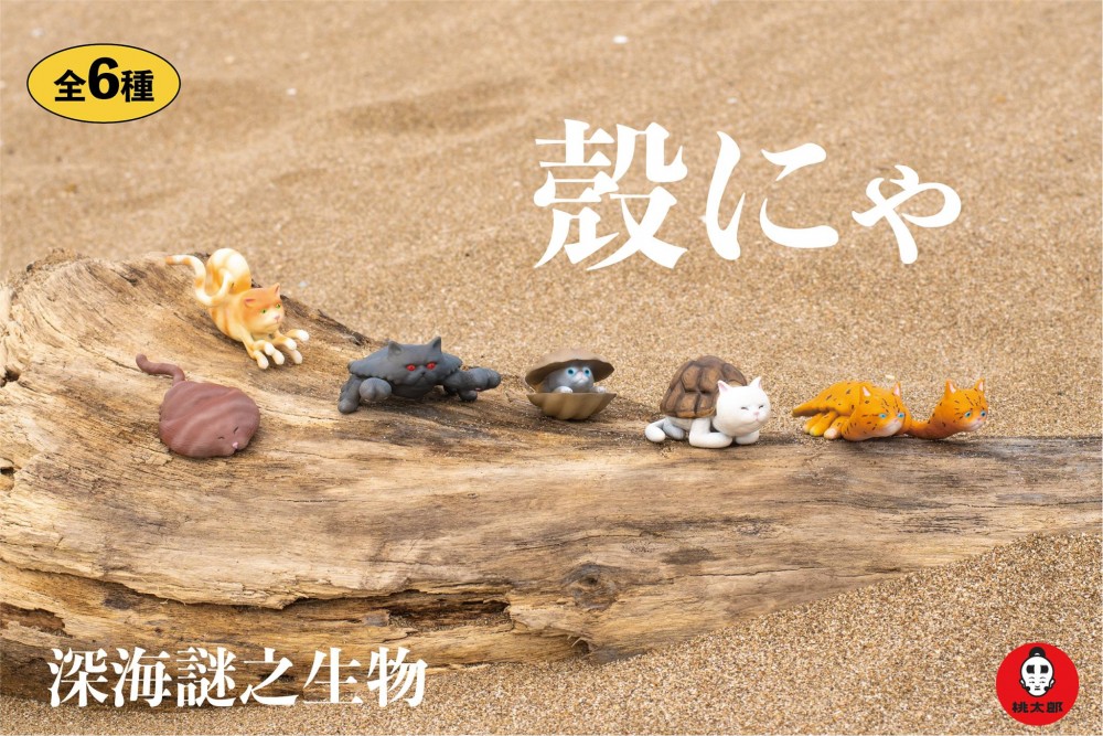 56892250_307380089903602_5974111071340855296_o