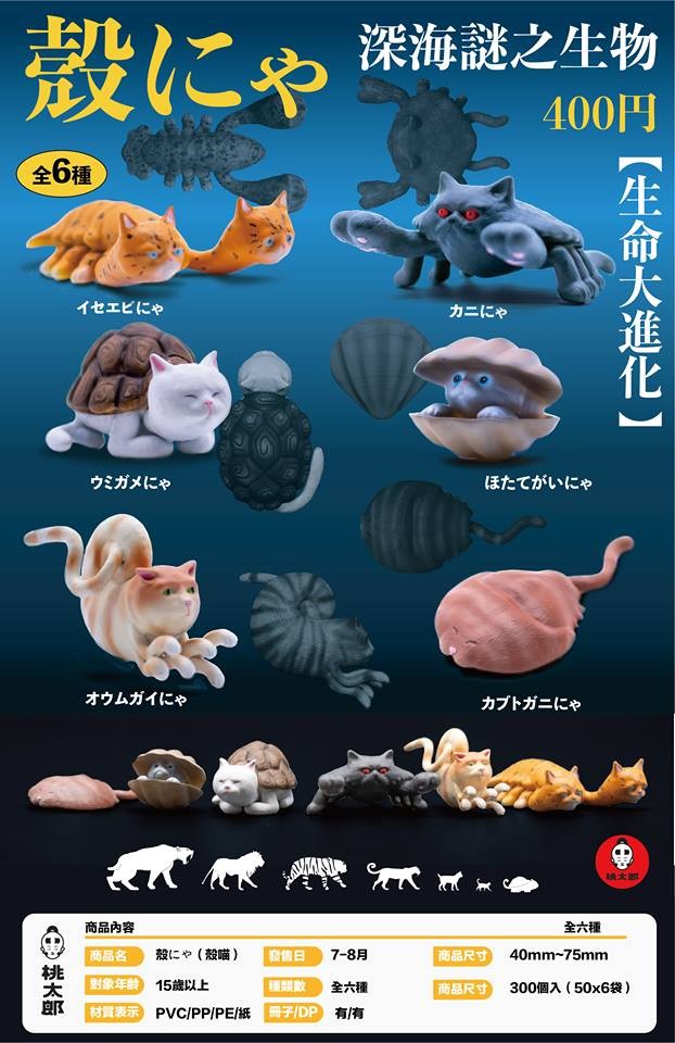 56956494_307379259903685_1104967851149623296_n