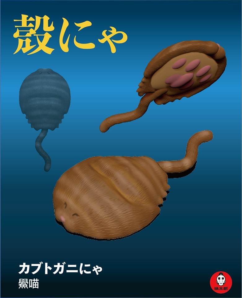 56998339_307380399903571_8368838871126900736_n