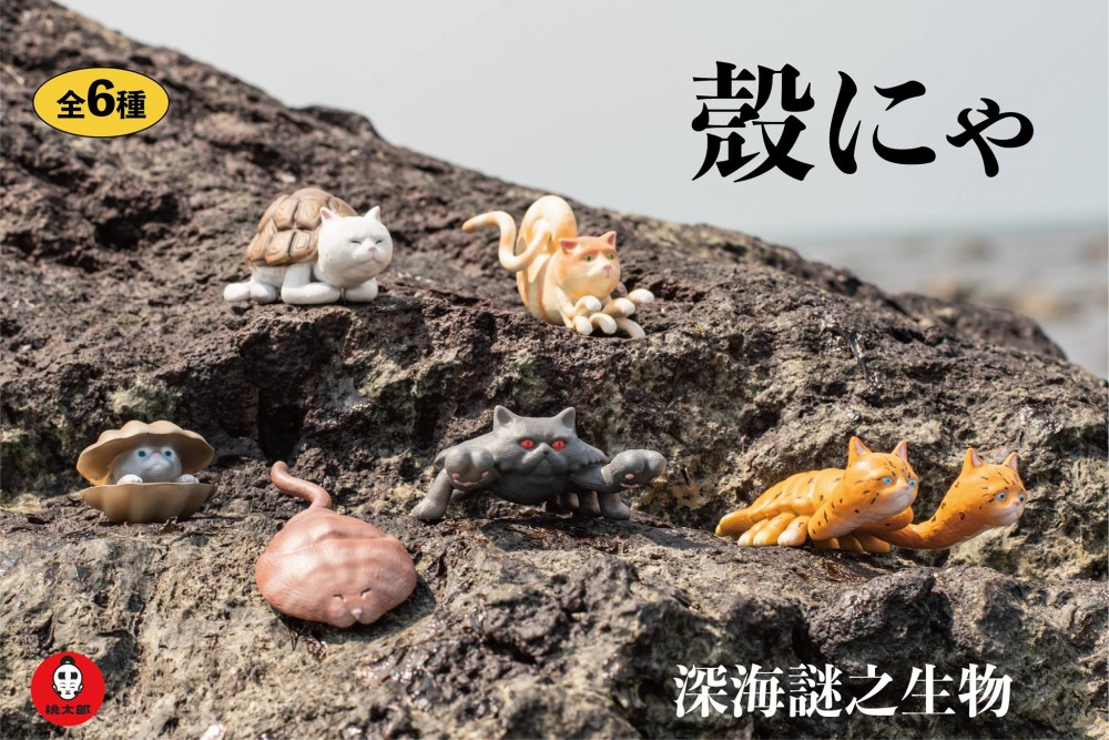 57286242_307379433237001_6900928734228905984_o