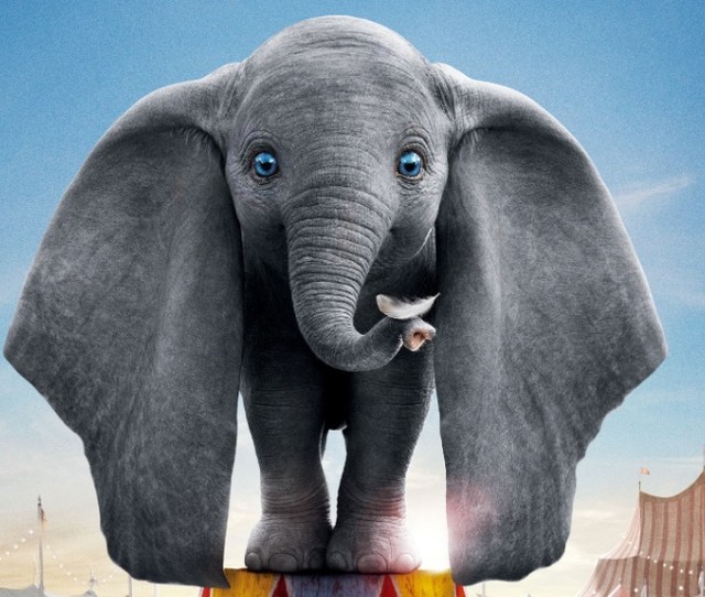 640x_bbc3cdbc8313ca207f677df40efb5ae8