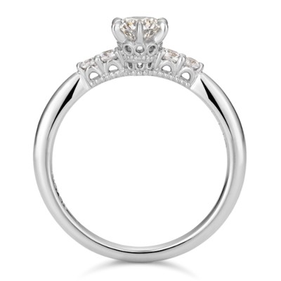 RSMS-102-PT950-m-01-dl