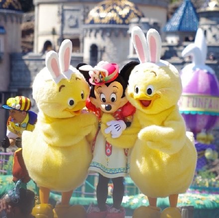 aa81d2d2gy1g1rsa3acgjj20u00ty78q