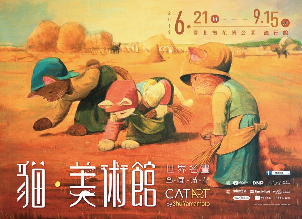 catart-kv-6-4-1556596270