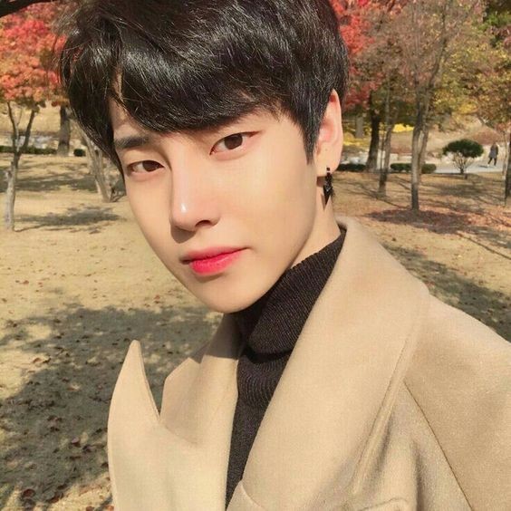 dd942add6110682293de54383ef77c47