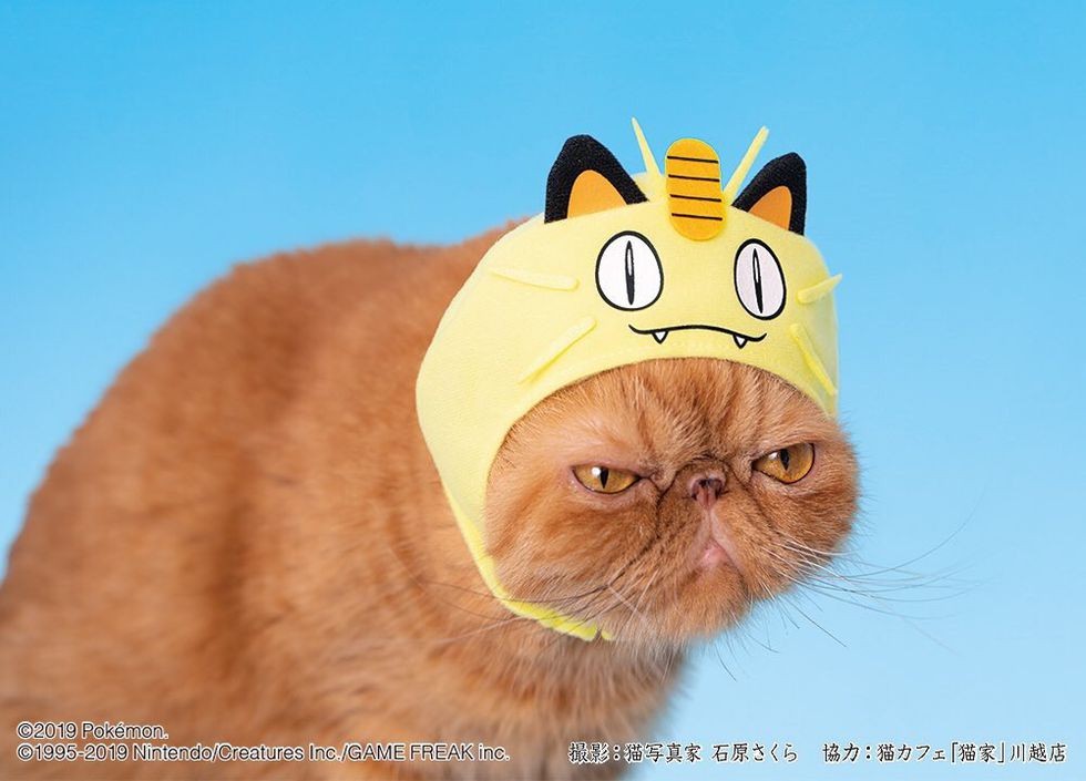 dwririuvsaa1uxc-1553588756