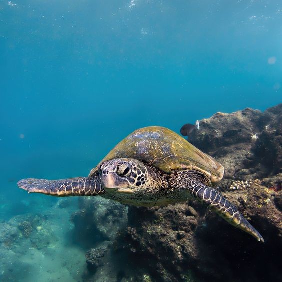 e59a0489c601709afbda3352419c1743