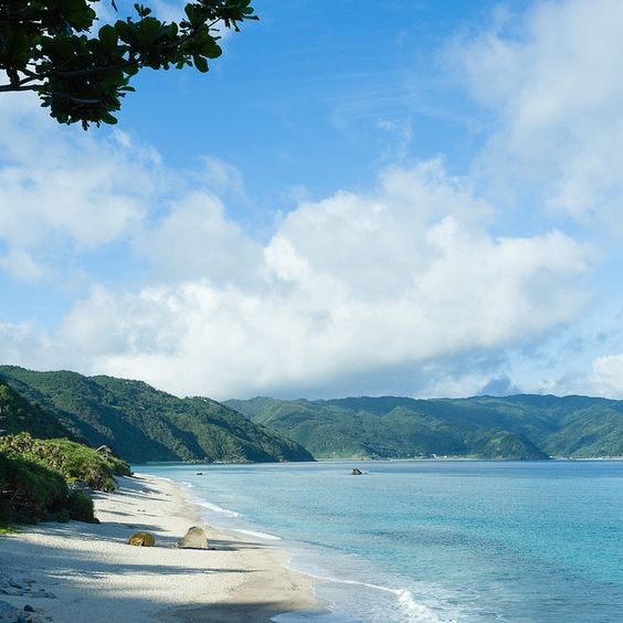 f4be01112ef8b02ae0821a4f74900bc3