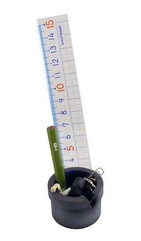 kinjo_sadakocapsel02