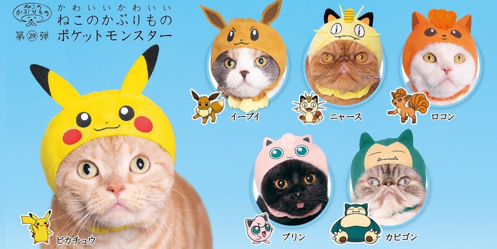 main-1280x720-nkpokemon-1553589389