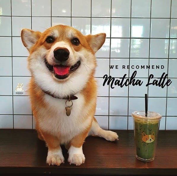 螢幕快照-2019-05-09-下午4.05.15