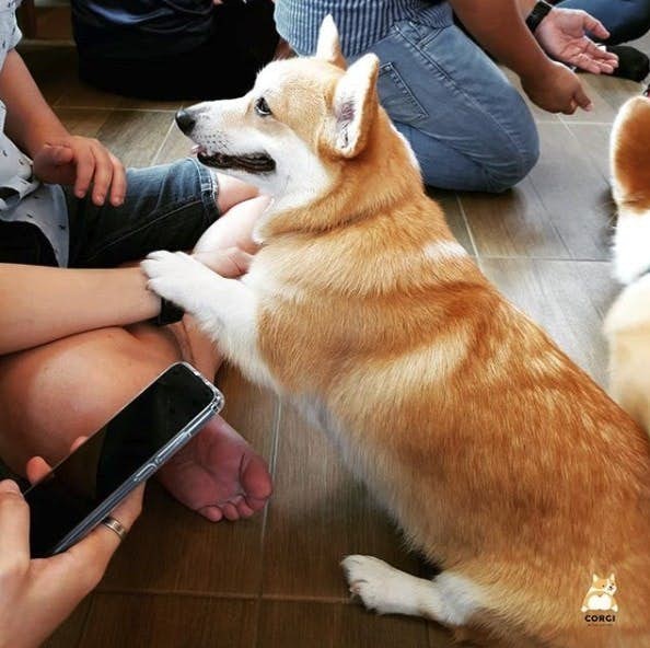 螢幕快照-2019-05-09-下午4.06.22