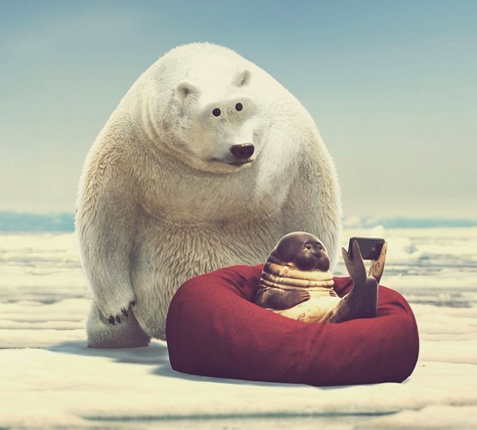 螢幕快照 2019-05-14 上午10.08.13