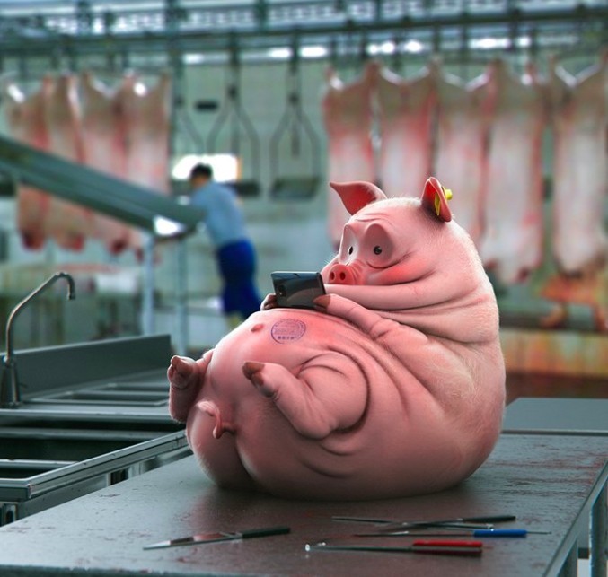 螢幕快照 2019-05-14 上午11.14.26