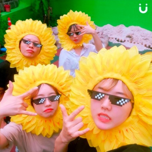 螢幕快照 2019-05-16 上午11.50.24