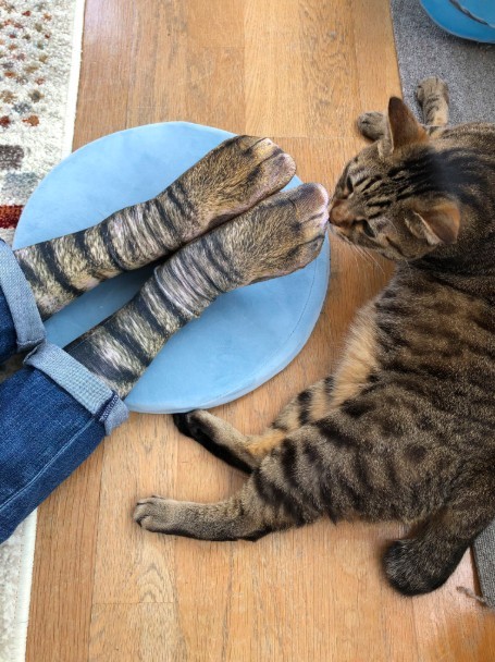 螢幕快照 2019-05-17 下午12.44.07