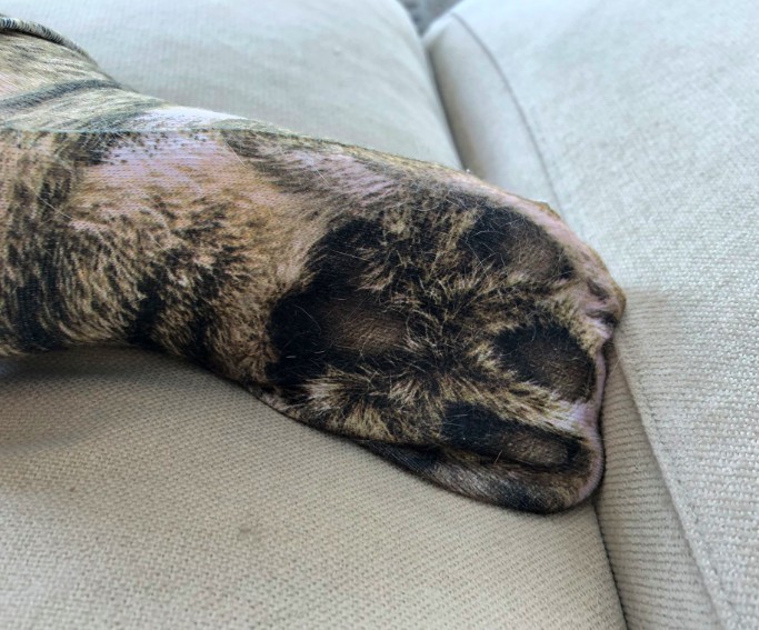 螢幕快照 2019-05-17 下午12.44.27