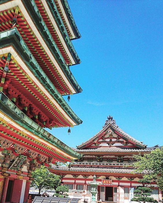 4315549f0f622947f153c10c2f48636e