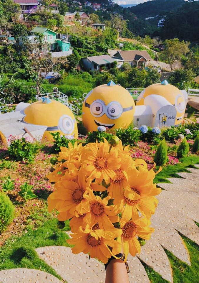 51365775_1959287140847825_4510142932736540672_n