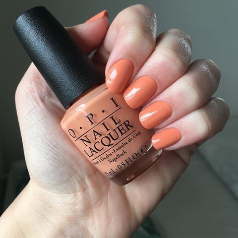 54732130_129751021443733_7896455462142536010_n