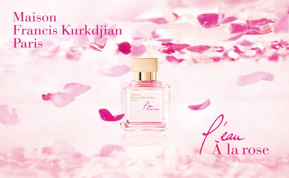 56222480_2316940461963324_9117373472350142464_o