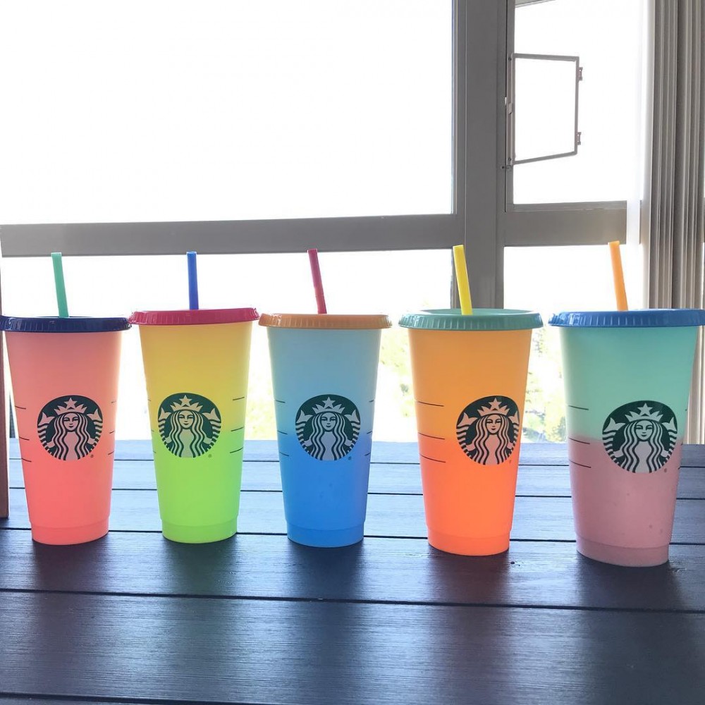 57366794_385967338800130_5970963797980194238_n