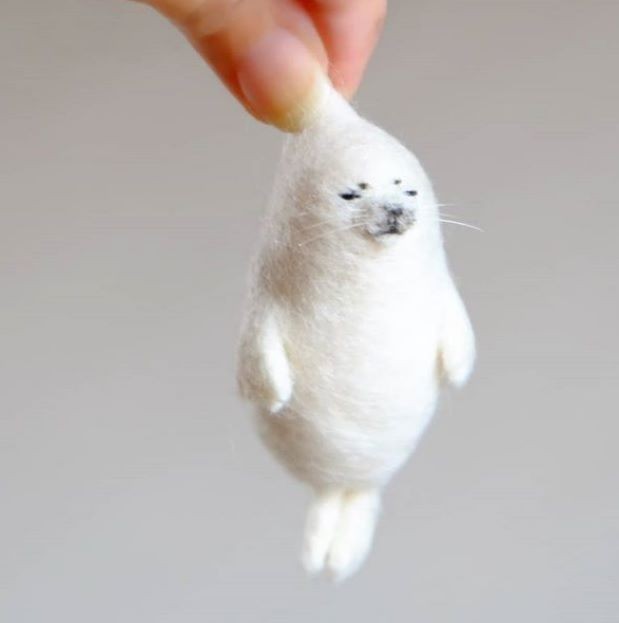 58669741_472311623511260_4563025537907294208_n