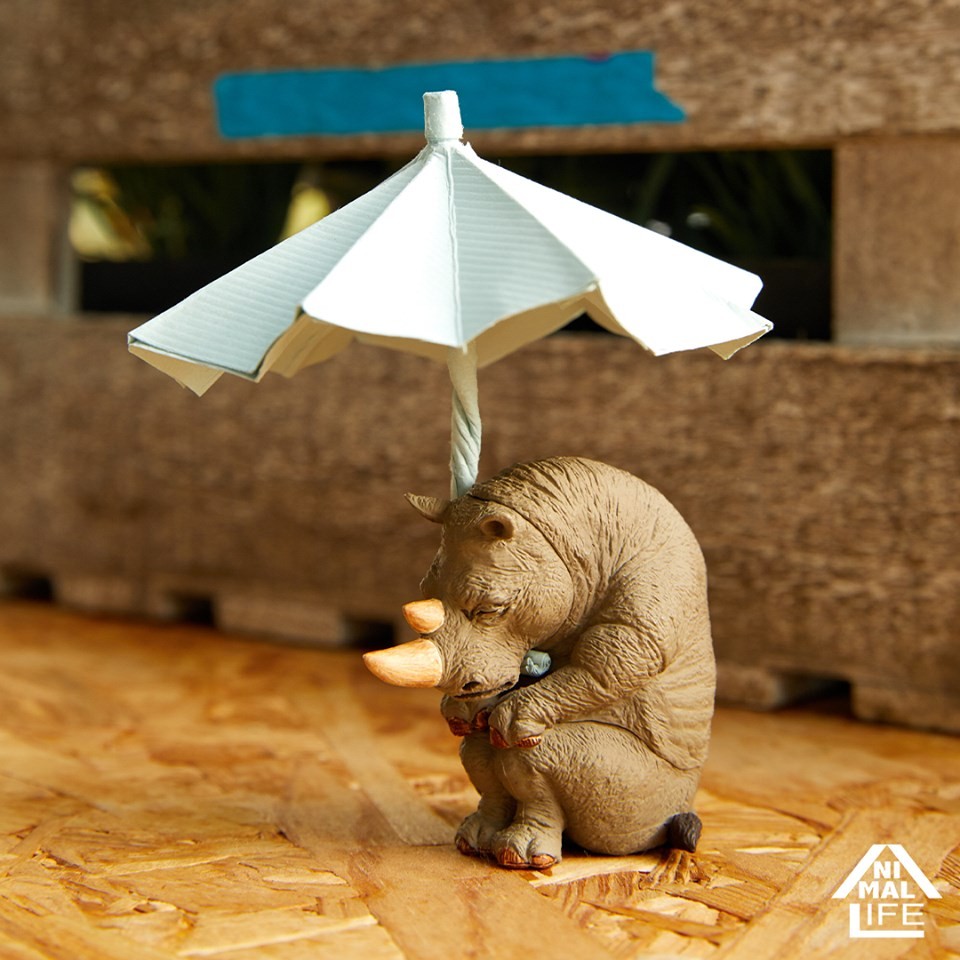 58802445_2321188957963046_5110315989027782656_n