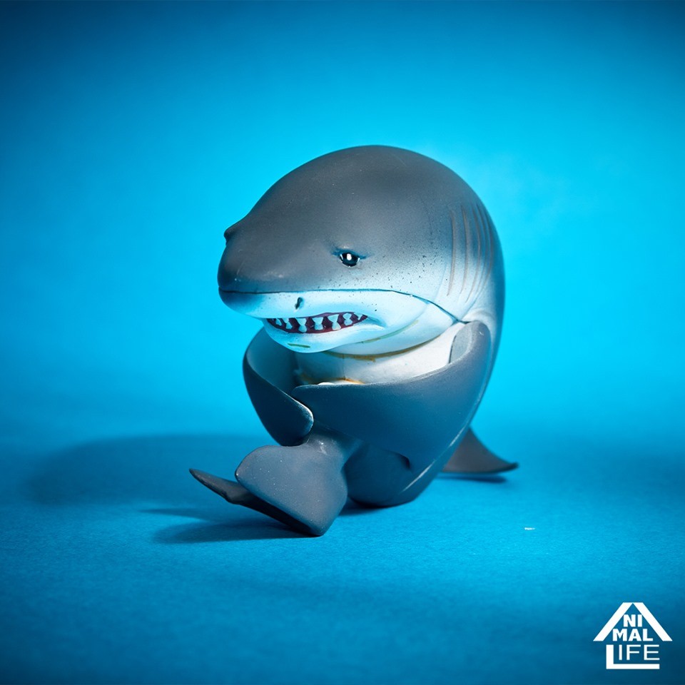 58883164_2321188724629736_7723667266381807616_n